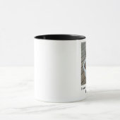 Welpen-Tasse Shih Tzu Tasse (Zentrum)