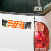 Welpen-u. Kitty-Autoaufkleber Autoaufkleber (Auf Lkw)