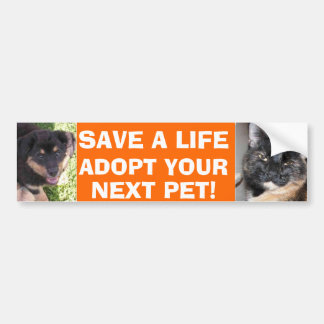 Welpen-u. Kitty-Autoaufkleber Autoaufkleber