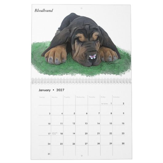 Welpen u. Schmetterlinge Kalender (Jan 2027)