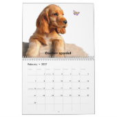 Welpen u. Schmetterlinge Kalender (Feb 2027)