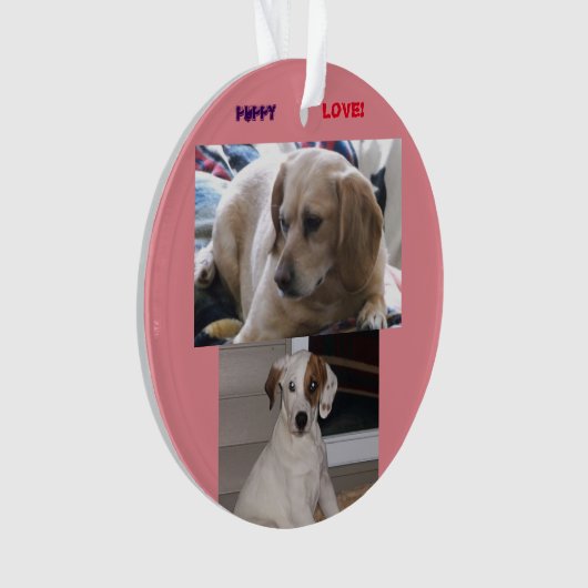 Welpen u. SIS Ornament (Vorderseite)