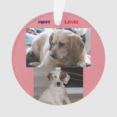 Welpen u. SIS Ornament (Vorderseite)