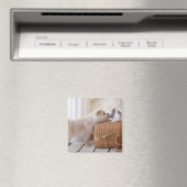 Welpen und Kaninchen Magnet (In Situ (Geschirrspüler))