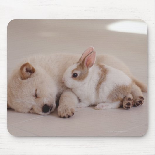 Welpen und Kaninchen Mousepad (Vorne)