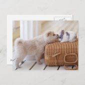 Welpen und Kaninchen Postkarte (Vorne/Hinten)