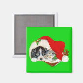 Welpen- und Kätzchen-Weihnachten Magnet (Vorderseite/Rückseite)