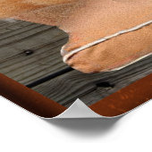 Welpen- und Kätzchenposter Poster (Ecke)