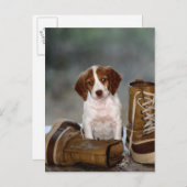 Welpen und Stiefel Postkarte (Vorne/Hinten)