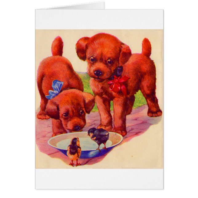 Welpen und Vögel der 30er Jahre (Vorne)