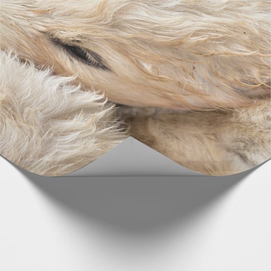 Welpen Valentinstag Packpapier (Ecke)