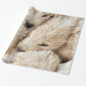 Welpen Valentinstag Packpapier (Ungerollt)