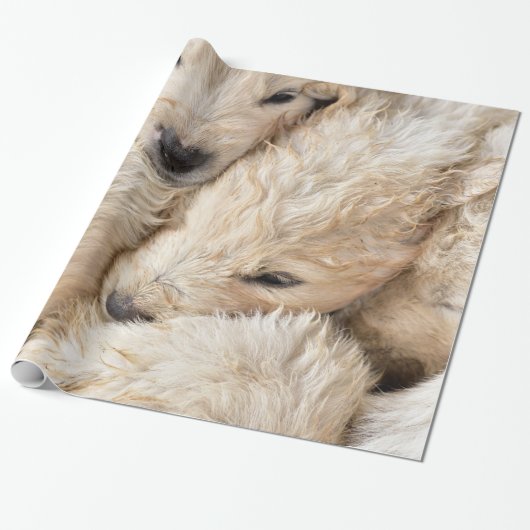 Welpen Valentinstag Packpapier (Ungerollt)