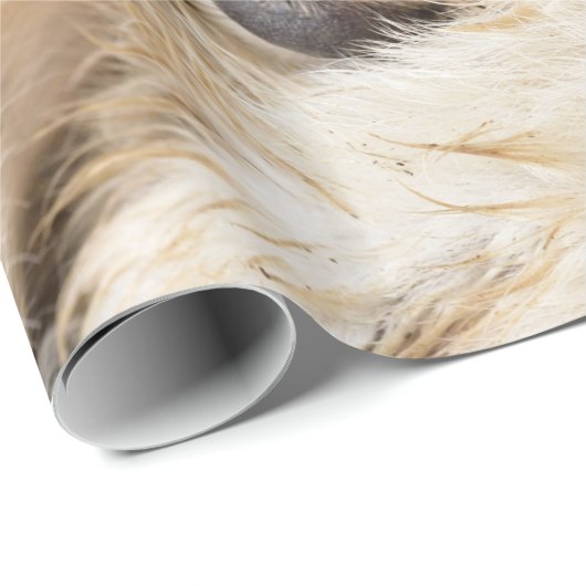 Welpen Valentinstag Packpapier (Rolleneckpunkt)