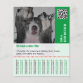 Welpen verkaufen flyer (Vorne)