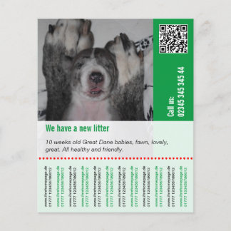 Welpen verkaufen flyer