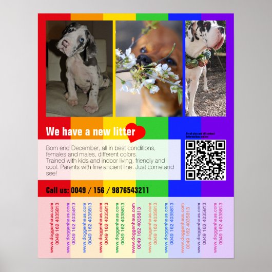 Welpen-Verkaufsflyer mit QR-Code Poster (Vorne)