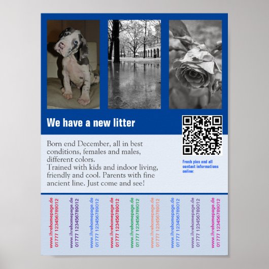 Welpen-Verkaufsflyer mit QR-Code Poster (Vorne)