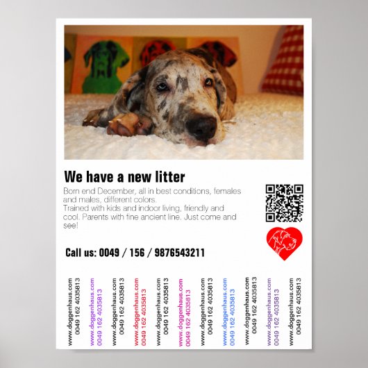 Welpen-Verkaufsflyer mit QR-Code Poster (Vorne)