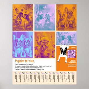 Welpen-Verkaufsplakat Vorlage 6 Bilder QR-Code  Poster