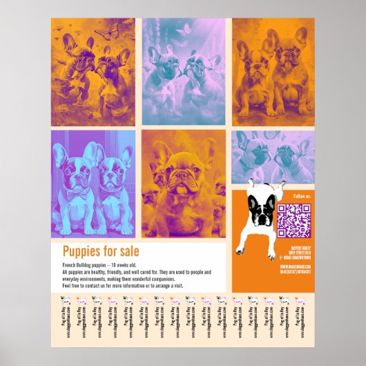 Welpen-Verkaufsplakat Vorlage 6 Bilder QR-Code Poster (Vorne)