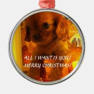 WELPEN-VERZIERUNG! SILBERNES ORNAMENT