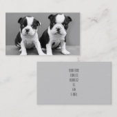 Welpen-Visitenkarten Bostons Terrier Visitenkarte (Vorne/Hinten)