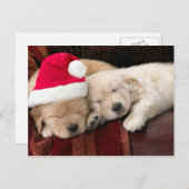 Welpen-Weihnachten Feiertagspostkarte (Vorne/Hinten)