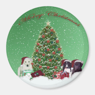 Welpen Weihnachtsmagnet Magnet