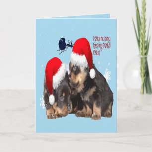 Welpen Weiße Weihnachten mit dem Weihnachtsmann-Sc