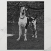 Welpen zum Verkauf Flyer mit QR-Code (Rückseite)