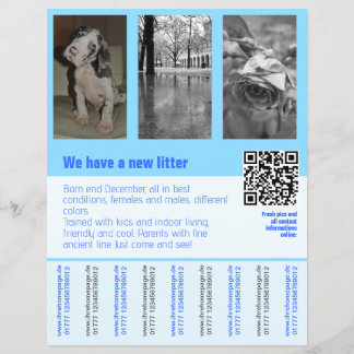 Welpen zum Verkauf Flyer mit QR-Code
