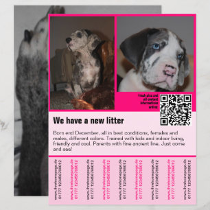Welpen zum Verkauf Flyer Vorlage QR-Code