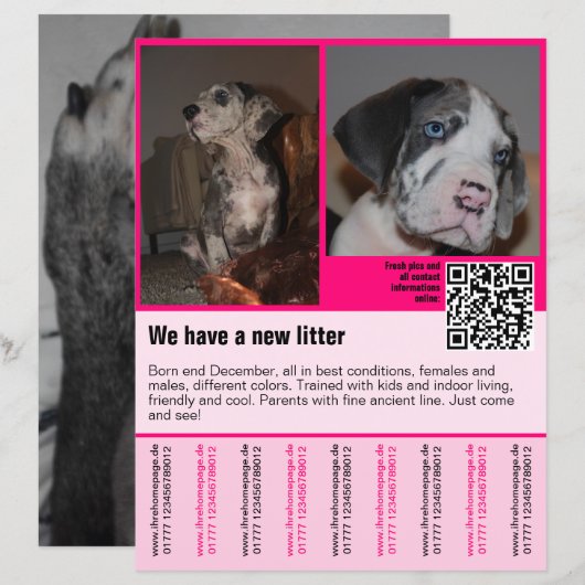 Welpen zum Verkauf Flyer Vorlage QR-Code (Vorne/Hinten)
