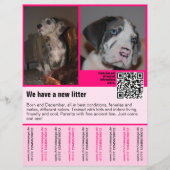 Welpen zum Verkauf Flyer Vorlage QR-Code (Vorderseite)
