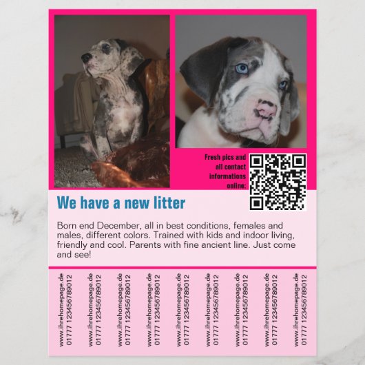 Welpen zum Verkauf Flyer Vorlage QR-Code (Vorne)