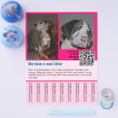 Welpen zum Verkauf Flyer Vorlage QR-Code (Einzeln)