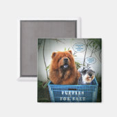 Welpen zum Verkauf Magnet (Vorderseite/Rückseite)