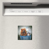 Welpen zum Verkauf Magnet (In Situ (Geschirrspüler))