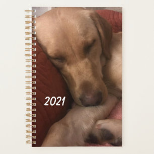 Welpenagenda Planer