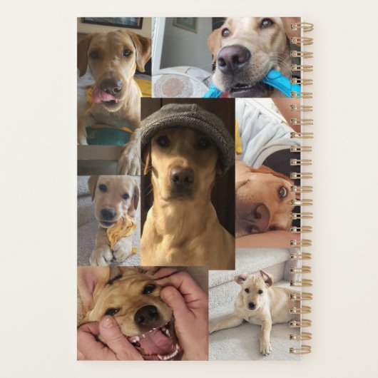 Welpenagenda Planer (Rückseite)