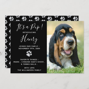 Welpenankündigung - Schwarz Elegant Modernes neues Einladung