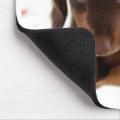 Welpenaugen Mousepad (Ecke)