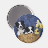 Welpenbild Magnet (Vorderseite/Rückseite)