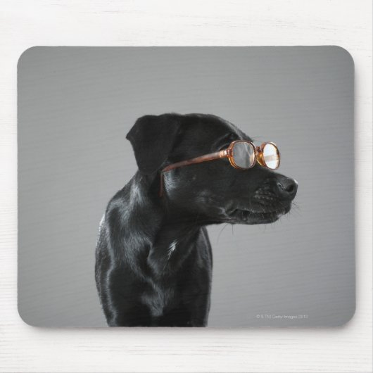 Welpenbrille Mousepad (Vorne)