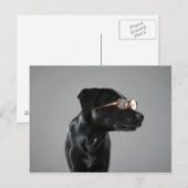Welpenbrille Postkarte (Vorne/Hinten)