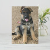 Welpeneinladung Einladung (Stehend Vorderseite)