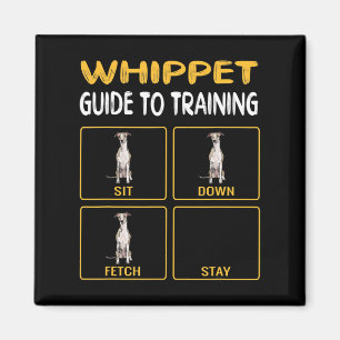 Welpenführer für das Training von Gehorsam bei Hun Magnet