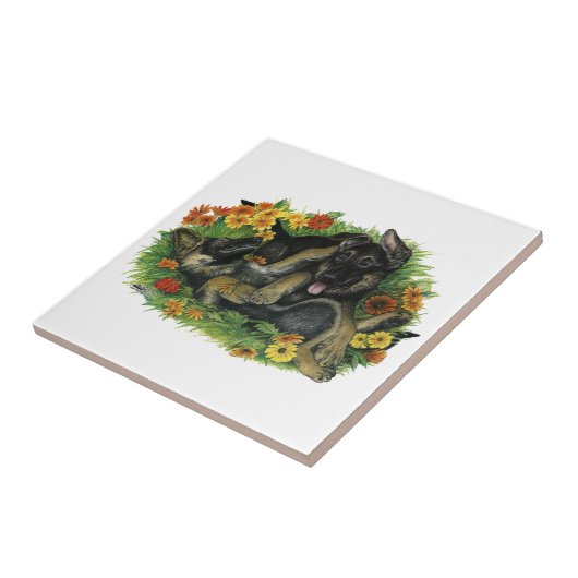 Welpengarten Fliese (Seite)