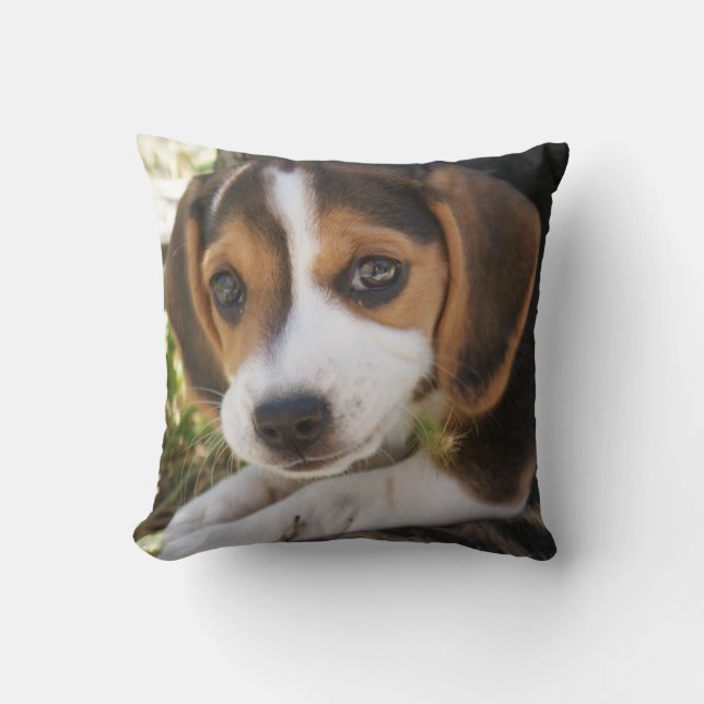 Welpenhund-Beagle Kissen (Vorderseite)